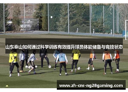 山东泰山如何通过科学训练有效提升球员体能储备与竞技状态