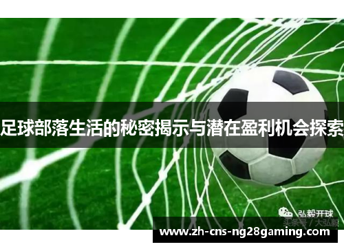 足球部落生活的秘密揭示与潜在盈利机会探索 足球部落生活的秘密揭示与潜在盈利机会探索