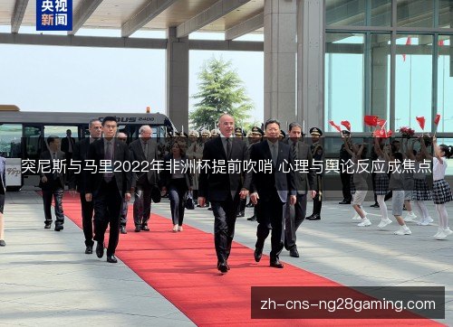 突尼斯与马里2022年非洲杯提前吹哨 心理与舆论反应成焦点 突尼斯与马里2022年非洲杯提前吹哨 心理与舆论反应成焦点